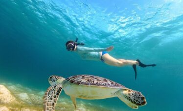 Turtle Beach Abu Dabbab – Private
