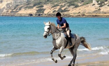 ride horse trip